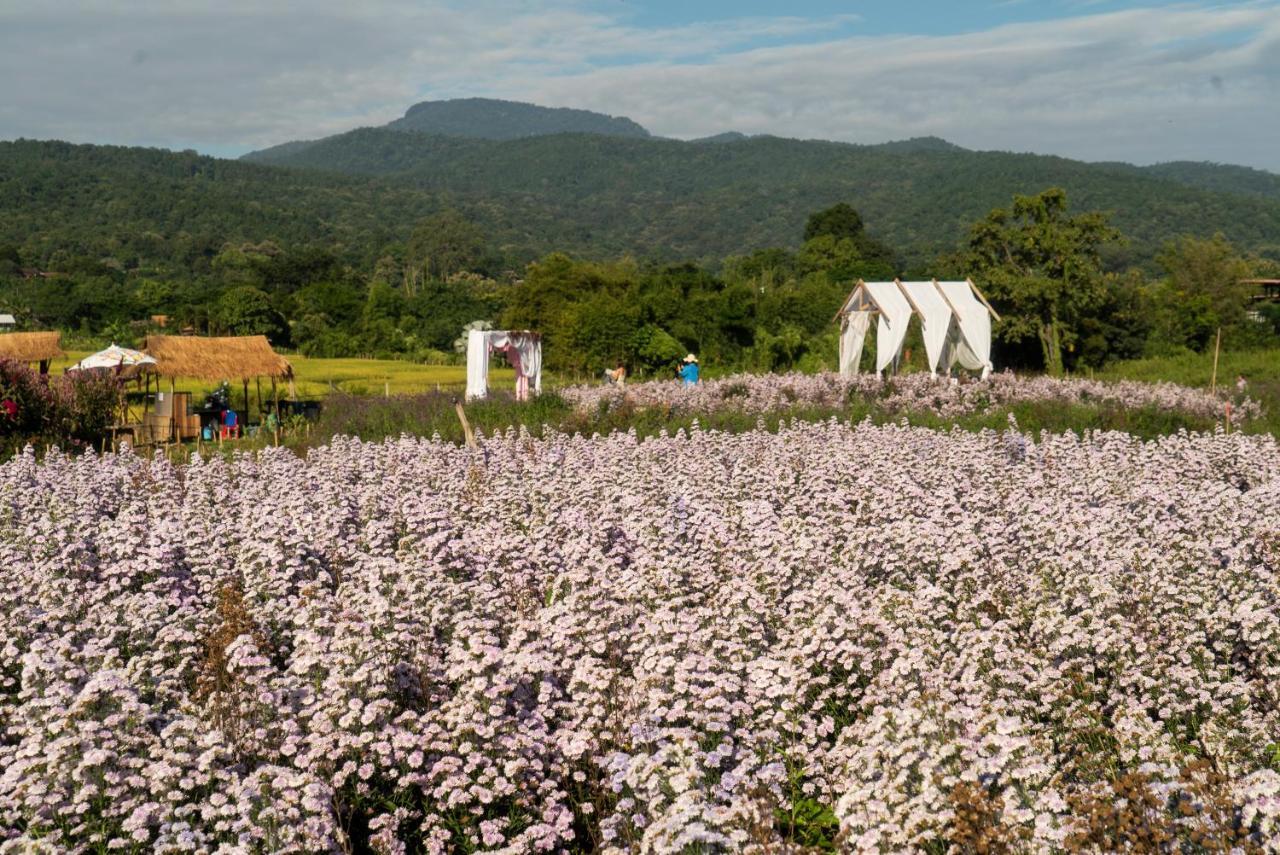 Vila Mae Rim Grace Exteriér fotografie